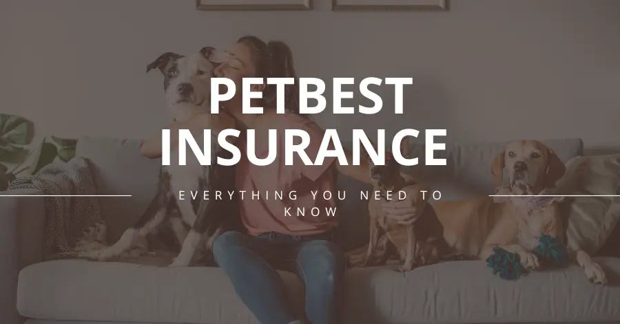 PetBest Insurance | Everything You Need to Know